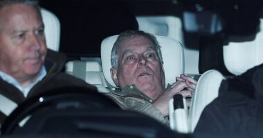 Andrew appeared terrified after being released from police custody on Thursday evening