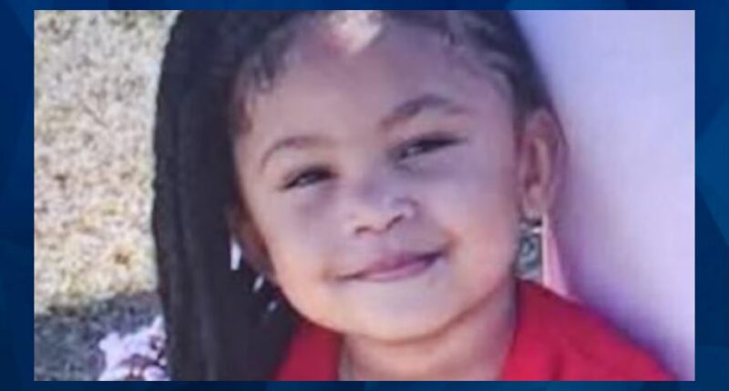 MISSING Genesis Reid: Cadaver Dogs Search for Alabama Tot, Mother’s Violent Past Emerges