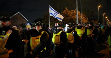 Maccabi Tel Aviv fan ban may have been politically influenced, say MPs