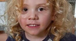 South Australia Police are expected to make a huge announcement today in the search for missing toddler Gus Lamont