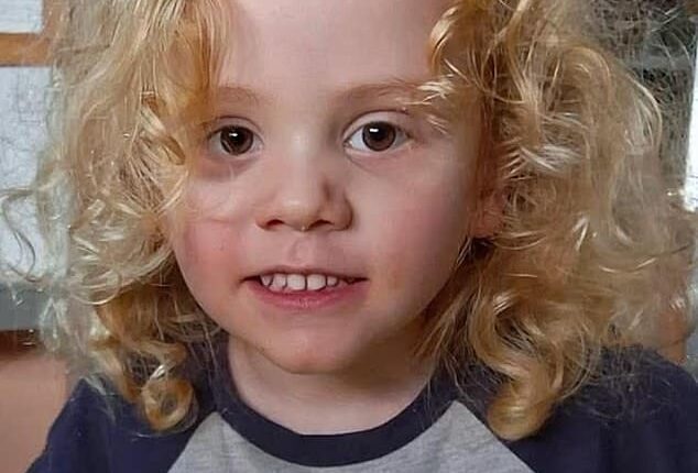South Australia Police are expected to make a huge announcement today in the search for missing toddler Gus Lamont