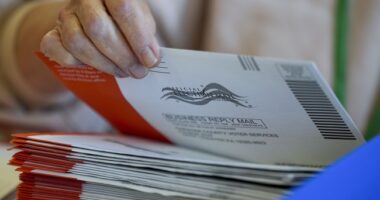 Maloney: I Hate Mail-In Voting