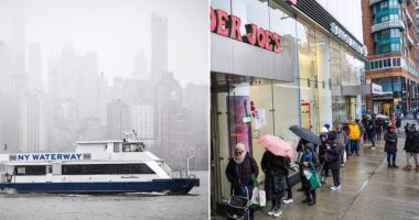 Mamdani puts New Yorkers bracing 26 inches of snow under historic travel ban as map reveals blizzard bomb cyclone's path of destruction: Live updates