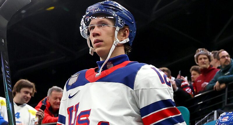 Maple Leafs Should Target This Minnesota Forward