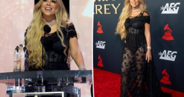 Mariah Carey wears sheer floral dress at pre-Grammys gala