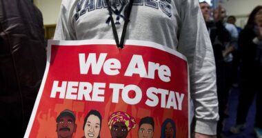 Massive New Push to Strip Fraudulent U.S. Citizenships – RedState