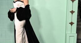 Meghan Markle went solo, donning a pink strapless dress with an enormous velvet black train at the annual Fifteen Percent Pledge Fundraising Gala last night