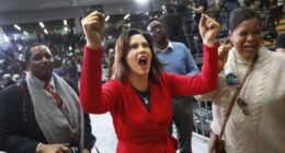 Michigan's Own Gov. Gretchen Whitmer Gets Ready to Leave Office Later in 2026... by Raising Taxes – RedState