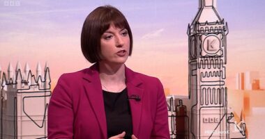 Education Secretary Bridget Phillipson said she 'recognises the challenges that are there' but stopped short of giving any commitments