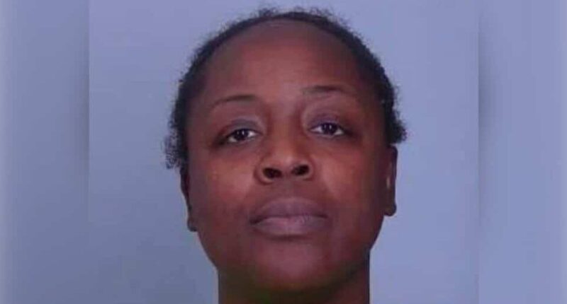 Minnesota Woman Locked Up for $325K SNAP Fraud.