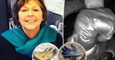 More gloves found near Nancy Guthrie’s house where FBI found possible evidence