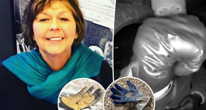 More gloves found near Nancy Guthrie’s house where FBI found possible evidence