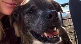 Lindsey Vonn has announced the tragic death of her dog Leo in a heartbreaking post online