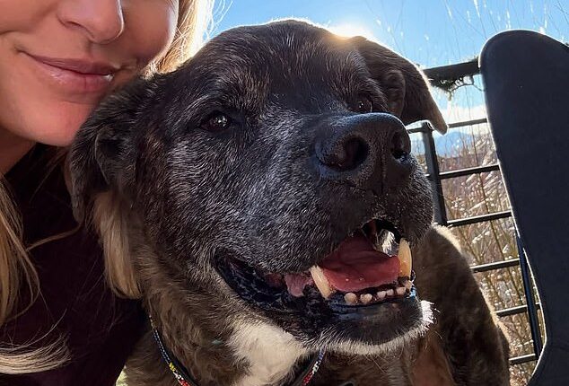 Lindsey Vonn has announced the tragic death of her dog Leo in a heartbreaking post online