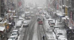 NY State Canceling 5th Phase Offshore Wind Acquisition – HotAir