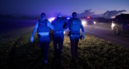 NYT Does Impossible, Interviews Reasonable American On Immigration