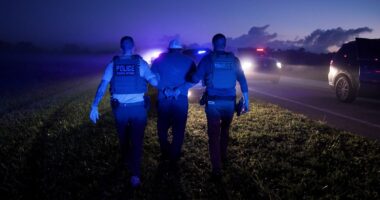 NYT Does Impossible, Interviews Reasonable American On Immigration