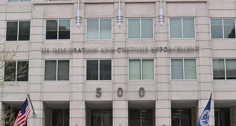 NYT Hit Piece On ICE Medical Care Is False, DHS Says