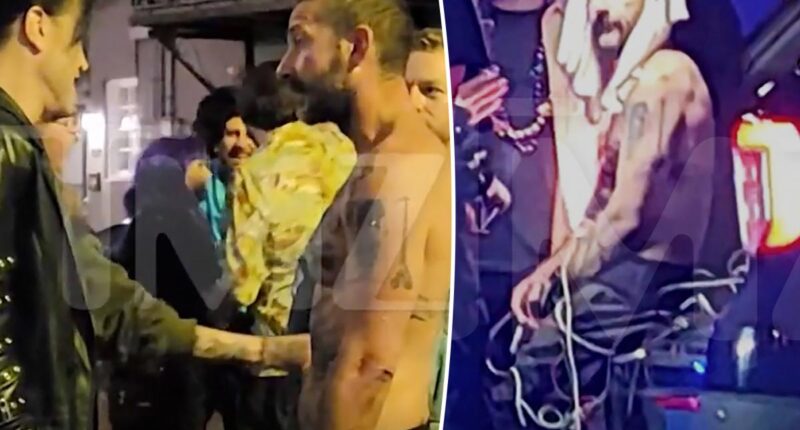 New video shows Shia LaBeouf getting pummeled in New Orleans before arrest