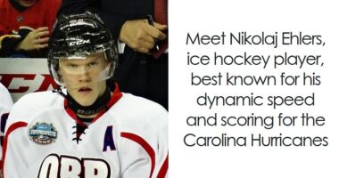 Nikolaj Ehlers: Bio And Career Highlights