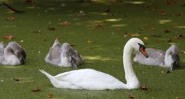 No Longer an Ice Queen – RedState