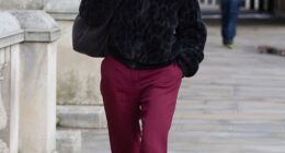 Keir Starmer went ahead with installing Antonia Romeo (pictured) as head of the civil service last week, despite some critics raising concerns about the vetting process