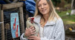 Sue Farthing, 58 (pictured with Colonel) said the incident was 'insanity'