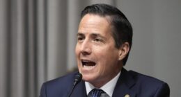 OH's Bernie Moreno Fires Back at Sherrod Brown Over Pushing for Extension of TPS for Haitians – RedState