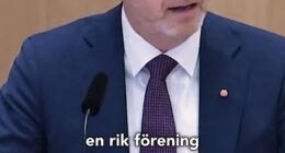 A Swedish politician has likened his country's economy to 'Spursy' Tottenham