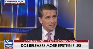 Deputy Attorney General Todd Blanche said it's 'not a crime to party' with late convicted child sex offender Jeffrey Epstein