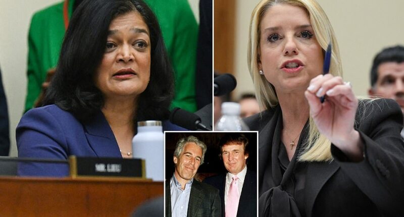 Donald Trump's Attorney General Pam Bondi has been ripped to shreds over the botched release of the Epstein files. Bondi faced a grilling by the House Judiciary Committee on Wednesday after the Justice Department released millions of documents relating to Jeffrey Epstein . The DOJ has faced furious criticism after redacting the names of the pedophile financier's associates, while failing to redact the names of victims.
