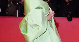 Pamela Anderson continued to redefine red carpet beauty as she attended the premiere of her new film Rosebush Pruning at the 76th Berlin International Film Festival