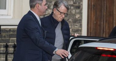 Peter Mandelson has today been arrested by police at his London home