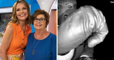 Police Close To Big Break After Tiny Clue In Nancy Guthrie Kidnapping Video Is Decoded By Experts