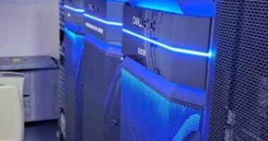 Pictured: Servers seized by police in a raid worth up to £750,000 last week