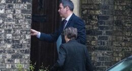 Today, detectives were seen entering Mr Mandelson's home in Camden, north London, while further searches were carried out at his other property in Wiltshire