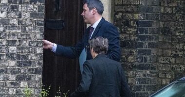 Today, detectives were seen entering Mr Mandelson's home in Camden, north London, while further searches were carried out at his other property in Wiltshire