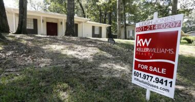 Politicians Make Things Worse – HotAir