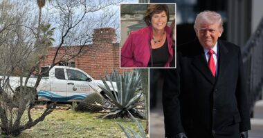 Pool service workers escorted by police to Nancy Guthrie's yard as Trump says 'progress is being made': Live updates