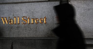 Private-credit ‘cockroaches’ and the AI ‘scare trade’ hammered stocks in February. Here’s what else has investors shaken up.