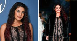 Priyanka Chopra Triggers Thirst Frenzy With A “Powerful” Sheer Dress Amid Film Promo