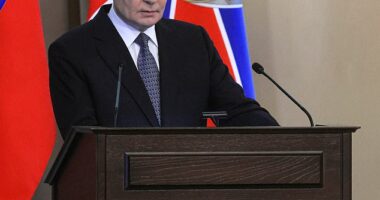 Vladimir Putin (pictured) said on Tuesday that Moscow's adversaries probably understood how any attack on Russia or Russian forces using 'a nuclear element' could end