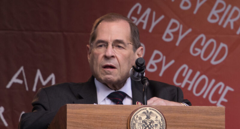 Rep. Nadler: Shooting ICE ‘Goons’ Would Be ‘Justified.’