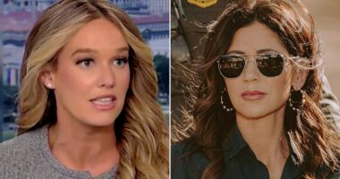 Kristi Noem's most loyal supporter has quit her job at Homeland Security after labelling slain ICE protesters 'domestic terrorists.' Tricia McLaughlin, one of the most vocal defenders of Noem's turbulent leadership of DHS, is stepping down as the department's spokesperson. McLaughlin is expected to announce her plans to colleagues on Tuesday before departing DHS next week, according to Politico. McLaughlin's resignation comes as public opinion has completely soured on Donald Trump's immigration crackdowns in major US cities. The Daily Mail has reached out to McLaughlin for comment.