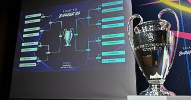 Revealed: The staggering statistic which shows just how LOPSIDED the Champions League draw is - and the two European giants with less chance of winning it than Newcastle!