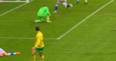 Mohamed Toure scores just six days after signing for Norwich in dream Championship debut against Blackburn