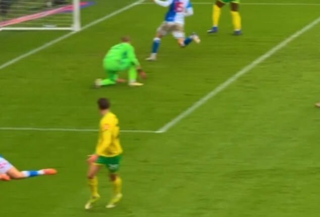 Mohamed Toure scores just six days after signing for Norwich in dream Championship debut against Blackburn