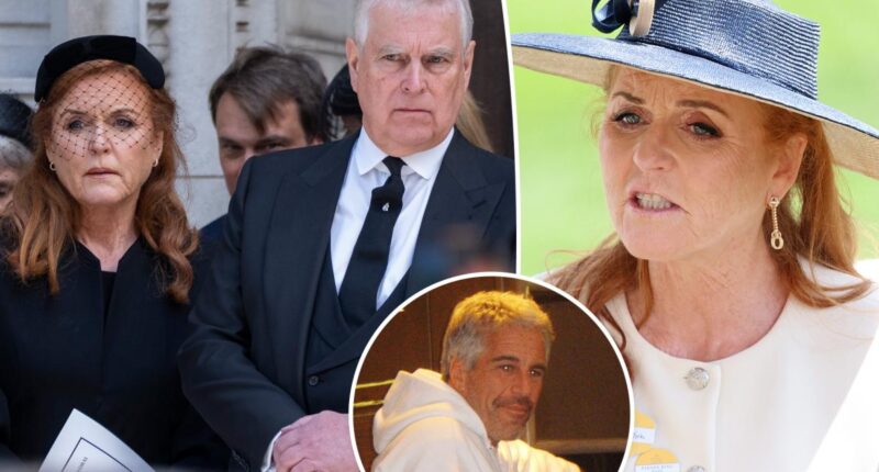 Sarah Ferguson checked into rehab clinic over her, Ex-Prince Andrew's connections to Jeffrey Epstein: report