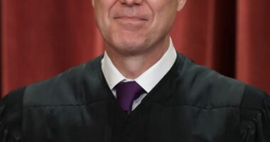 Conservative Supreme Court Justice Neil Gorsuch (pictured) appeared to directly address the president that appointed him within his ruling that Trump's tariff program was unconstitutional
