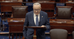 Schumer Threatens Shutdown So GOP Can't Stop Voter Fraud